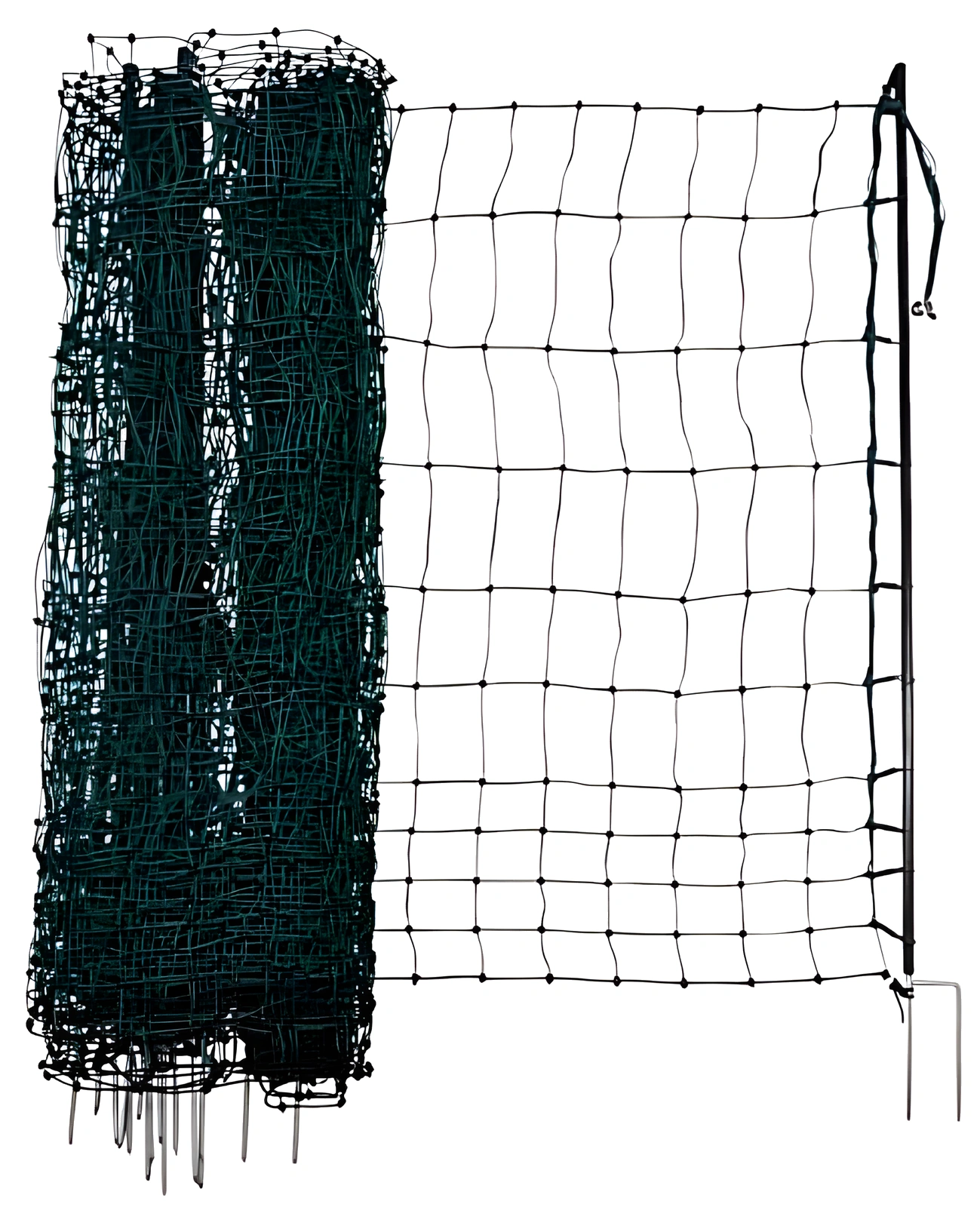 AKO - 292412 - Gefluegel-E-Netz 122cm 50m SP Gruen