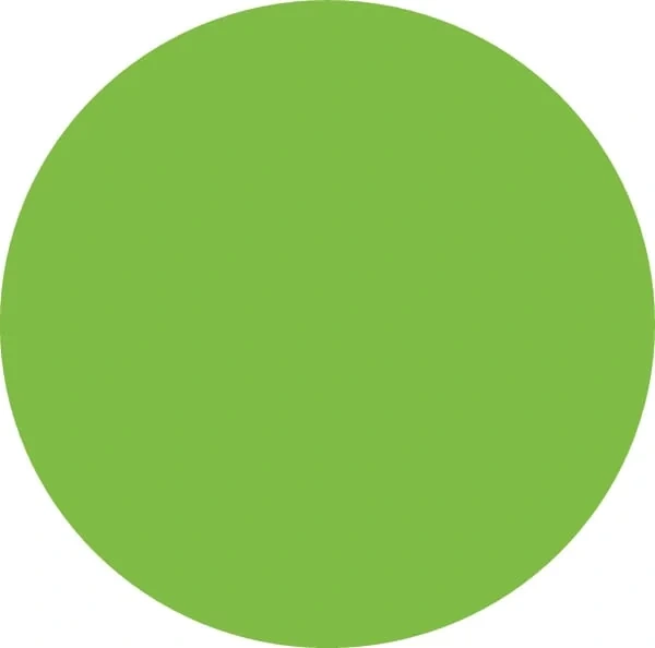 AKO - 44959 - Torhandgriff, Neon Gruen