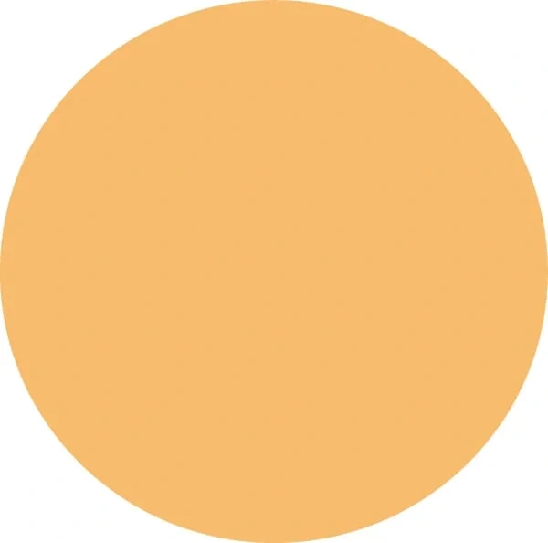 AKO - 44960 - Torhandgriff, Neon Orange