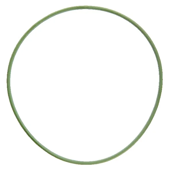 Amazone - FC022 - O-Ring 100 x 2.5: 70 FKM Amazone