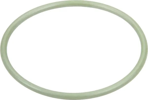 Annovi Reverberi - 395081 - O-Ring 47,3x2,62mm 70 Shore Viton Schwarz Annovi Reverberi