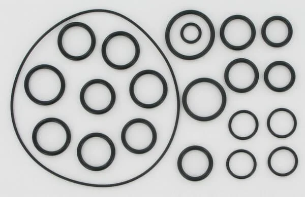 Annovi Reverberi - AR2409 - O-Ring-Satz für AR202 / 252