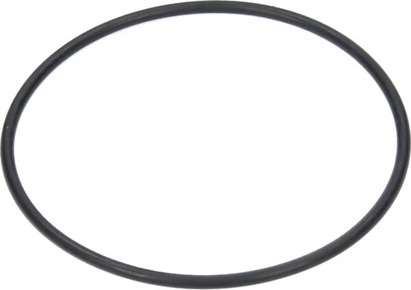 Arag - 314300060 - O-Ring 71,12x2,62 mm 70 Shore EPDM