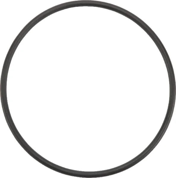 Arag - 333000050 - O-Ring 133,4x5,34mm 70 Shore Schwarz
