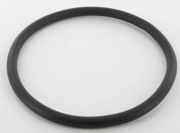 Arag - 350401020 - Dichtung 21,95x1,78mm 70 Shore Schwarz
