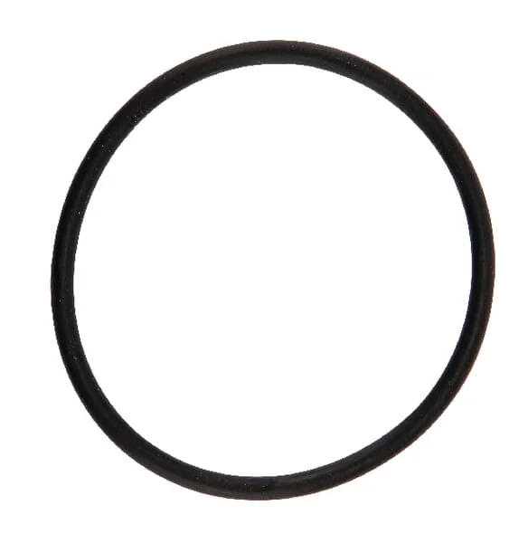 Arag - 460000210 - O-Ring 42,52x2,62mm 70 Shore EPDM Schwarz