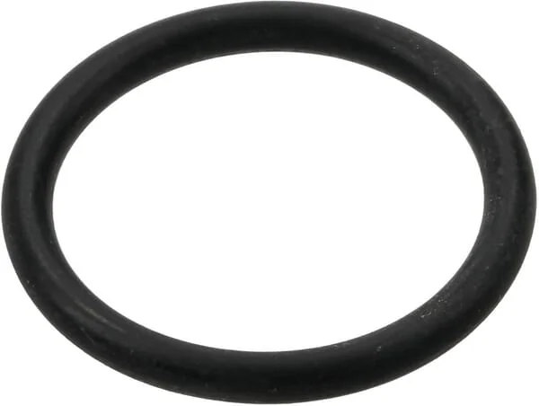 Arag - 465005140 - O-Ring 22,22x2,62 MM 70 Shore EPDM Weiss