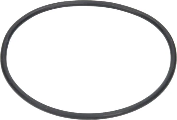 Arag - G11052 - O-Ring 174,6x6,99 mm 70 Shore EPDM Schwarz