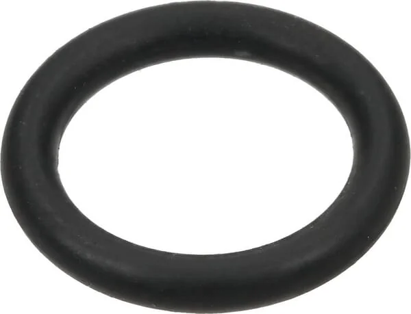 Arag - G11060 - O-Ring 10,5x2 mm 70 Shore EPDM Schwarz
