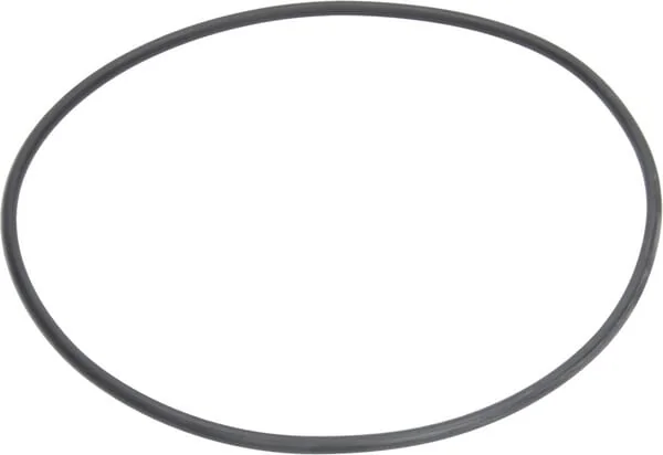 Arag - G11069 - Dichtung 202,87x2,62 mm 70 Shore Schwarz