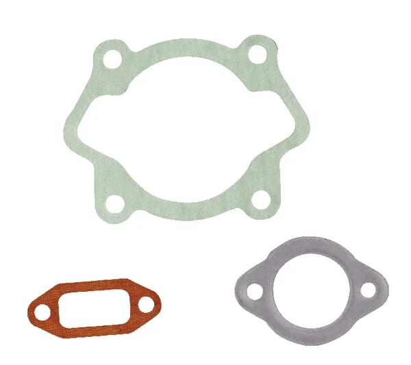 AS Motor - E03683ASM - Dichtungssatz 6 PS Motor