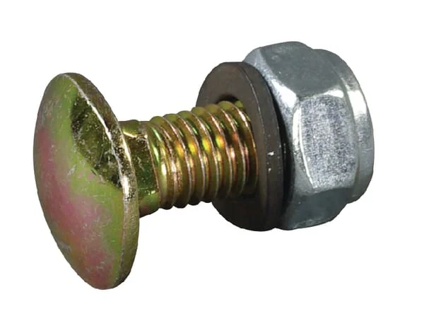 As Motor
