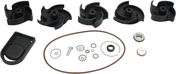 Banjo - 12000AV - Reparatursatz 2" Poly-Pumpe FKM