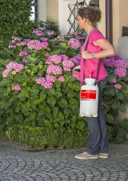 Birchmeier - 11859201BIR - Drucksprueher Garden Star 5 5 l / 3bar
