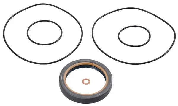 BlackBruin - BB291778010151 - Dichtungssatz BB2 Ohne Scheibenbremse