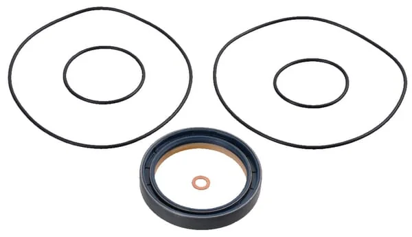 BlackBruin - BB291778010151 - Dichtungssatz BB2 Ohne Scheibenbremse