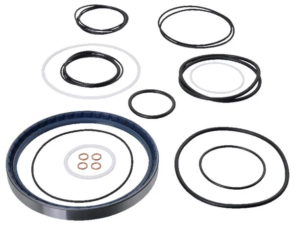 BlackBruin - BB691778010232 - Dichtungssatz Bb6 Mit Scheibenbremse