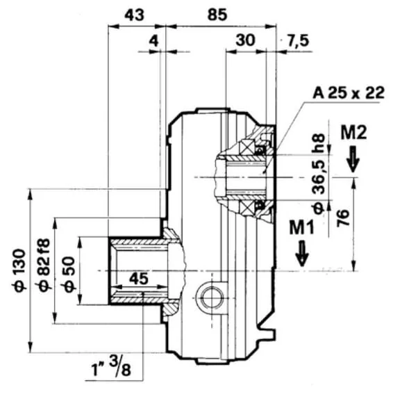 Borelli - GBF20S225 - Getriebe (B)