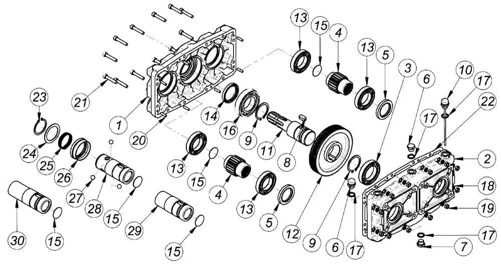 Borelli - GBF30D135 - Getriebe (A)