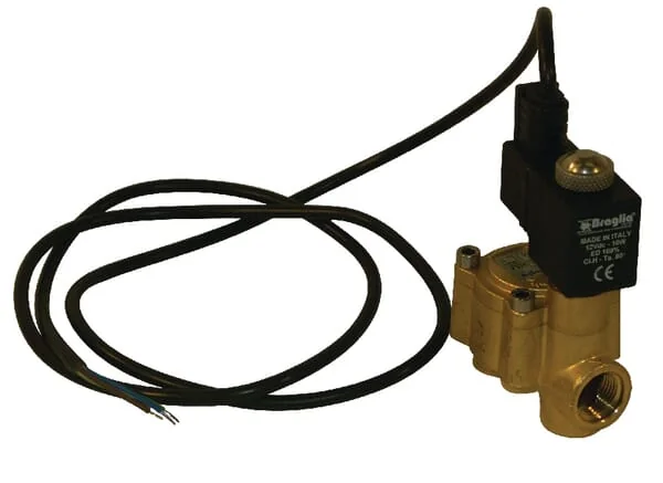 Braglia