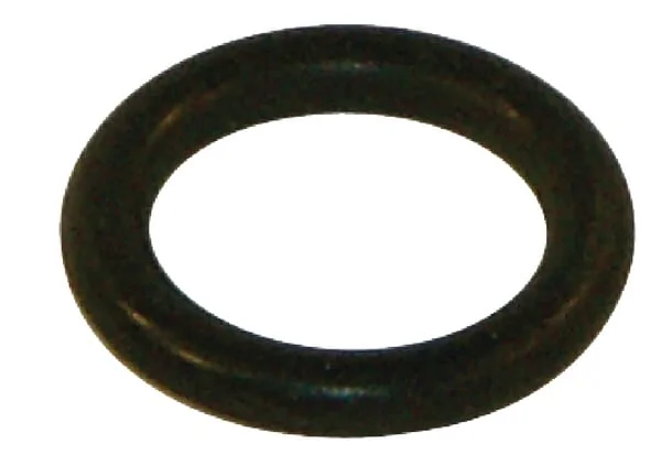 Braglia