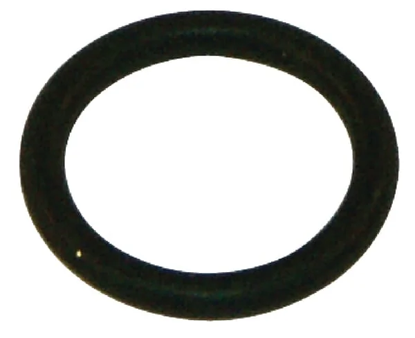 Braglia