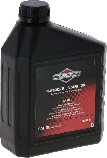 Briggs and Stratton