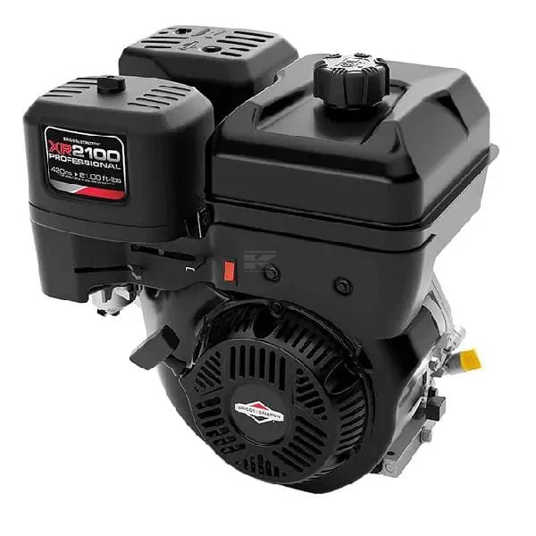 Briggs and Stratton