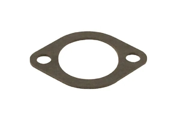 Briggs and Stratton - 272554S - Vergaser-Dichtung zum Zylinder