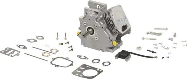 Briggs and Stratton