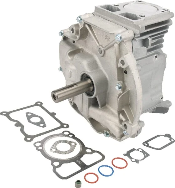 Briggs and Stratton