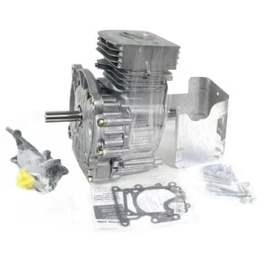 Briggs and Stratton - 797092A - Kurzblock, Vertikal, 2-Zylinder, Diameter 25,4 mm L: 80 mm Briggs and Stratton