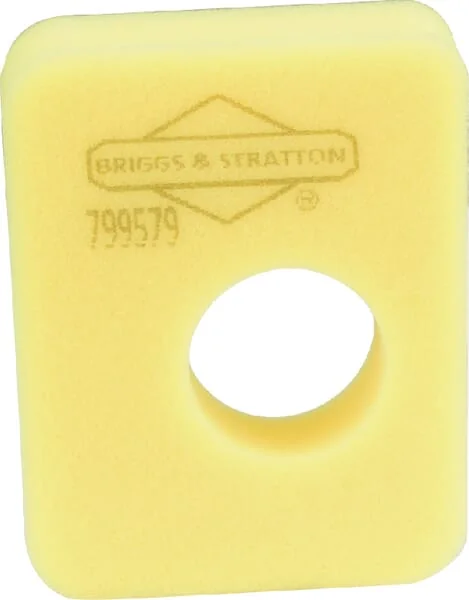 Briggs and Stratton
