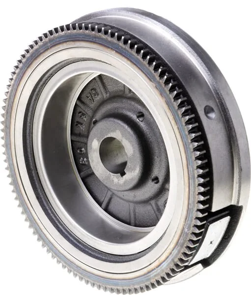 Briggs and Stratton - 841050WM - Schwungradsatz