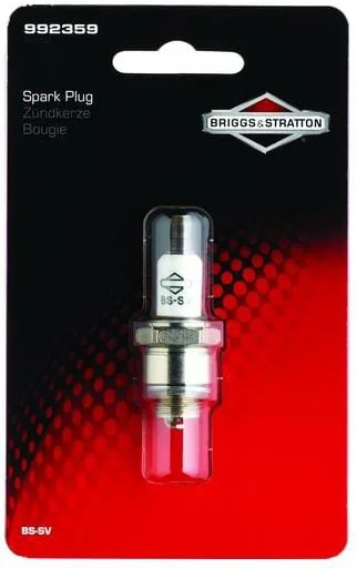 Briggs and Stratton