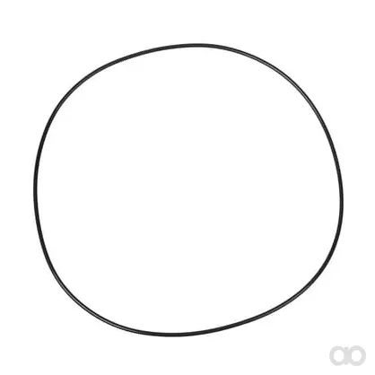 Carraro - CI028579 - Dichtungsring 253.59x3.53mm