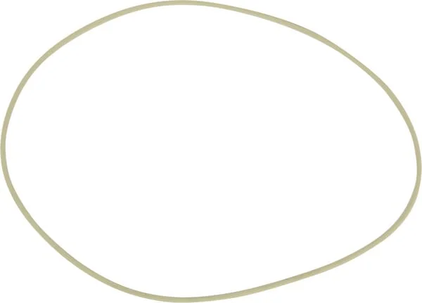 Carraro - CI831460 - O-Ring