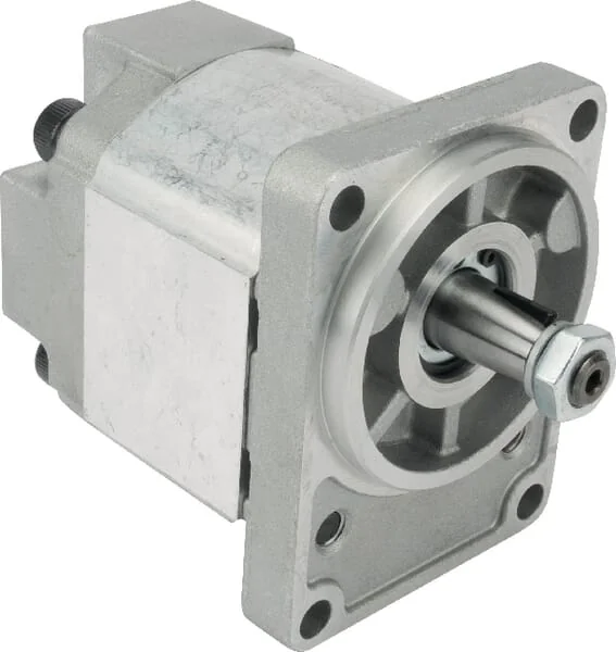 Casappa - PLM2063R054B2PGD - Getriebemotor plm20.6.3-54b2-p
