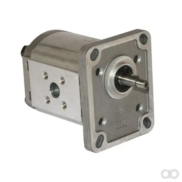 Casappa - PLP106D081E1 - Pumpe PLP10.6,3 D0-81E1-LBB/BA