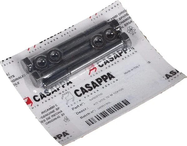 Casappa - PLP920M10100 - Schraube 20 M10x100 Polaris