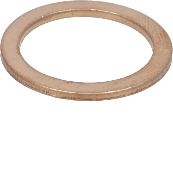 Case IH - 10259960 - Oelwanne-Dichtring M18