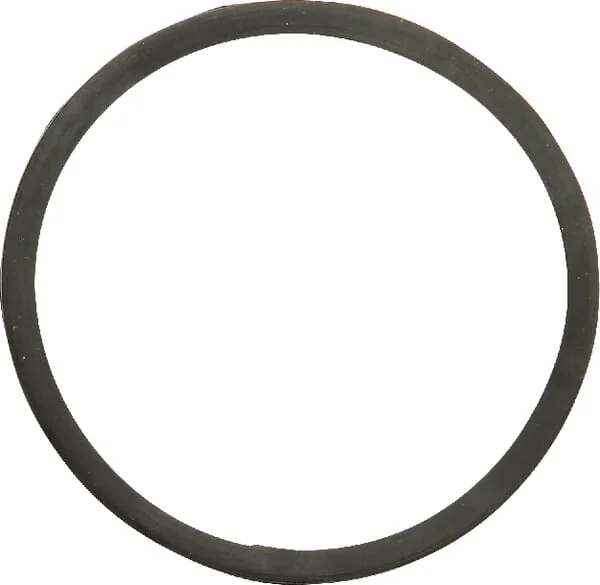 Case IH - 130100061002 - Thermostatdichtung