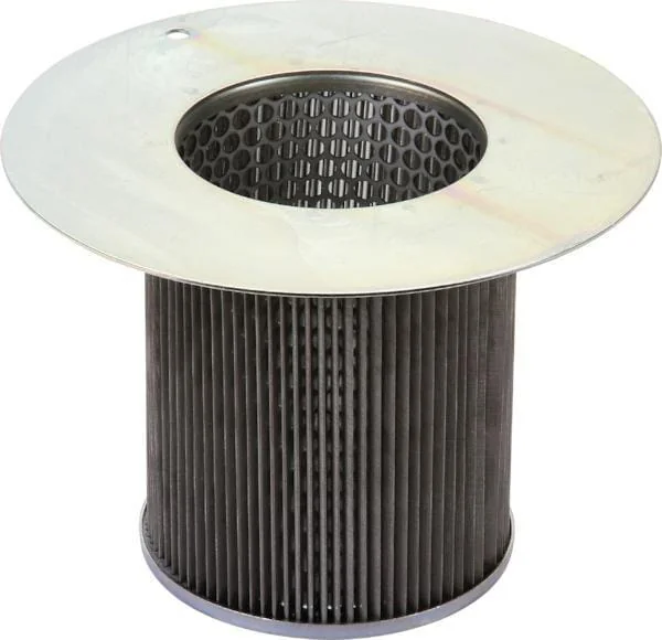 Case IH - 1348335C1 - Pumpeneinlasssieb - Standard