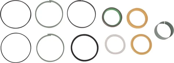 Case IH - 1543274C1 - Dichtungssatz