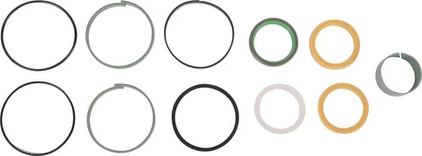Case IH - 1543274C1 - Dichtungssatz