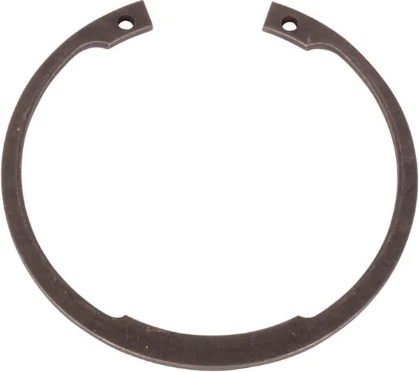 Case IH - 16874776 - Sicherungsring