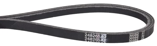 Case IH - 248265A2 - Riemen