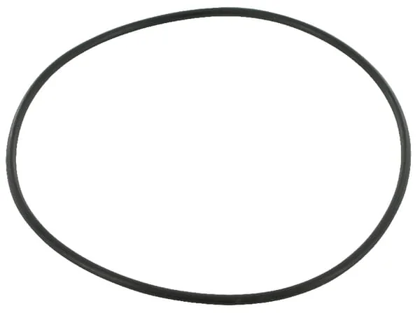 Case IH - 3057614R1 - O-Ring Hubzylinder
