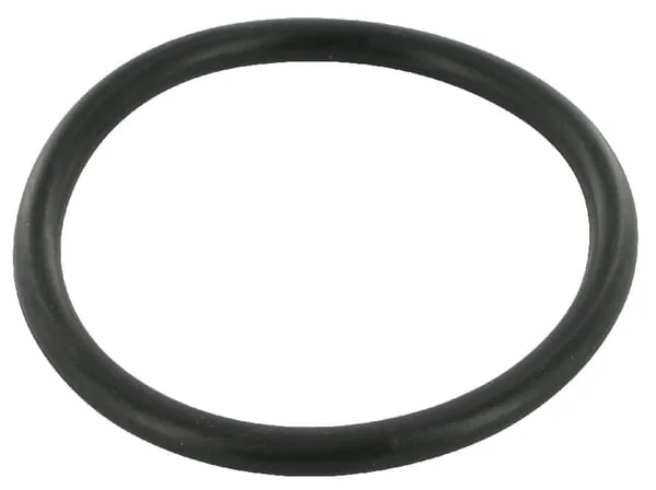 Case IH - 3220176R1 - O-Ring Gehaeuse IH