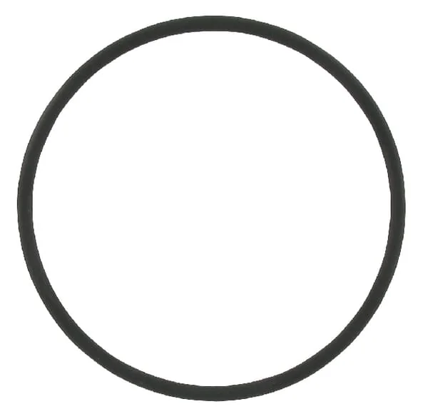 Case IH - 3228344R1 - O-Ring Rot fuer Liner